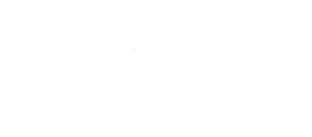 Logo JMM SAT Ferroli